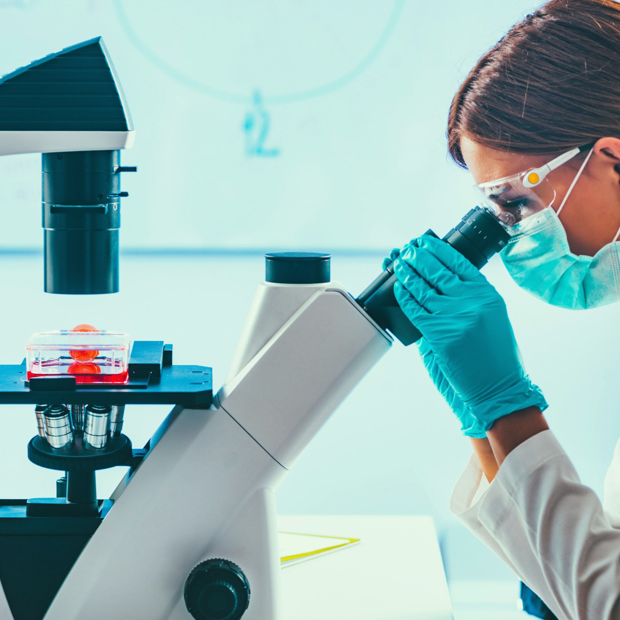 Biotechnology Laboratory Work